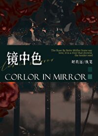 镜中色作者:时玖远