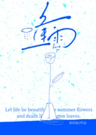 逢雨佳人小说讲的什么